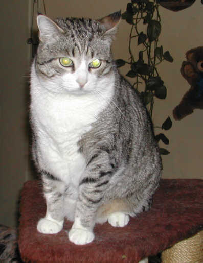 Jonas_11.jpg (23864 Byte)