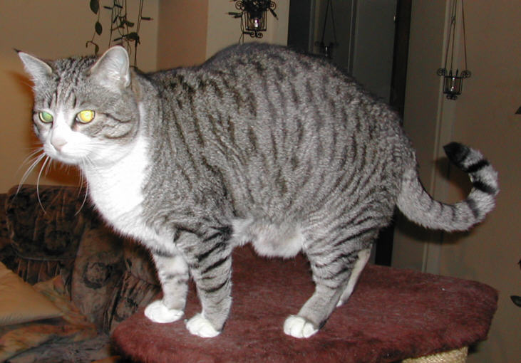 Jonas_22.jpg (67692 Byte)