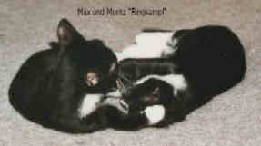 Max Moritz.jpg (4549 Byte)