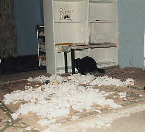 Toilettenpapier 3.jpg (11355 Byte)