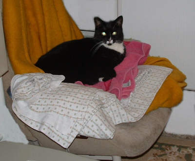 schoenes Bett 2.jpg (17637 Byte)
