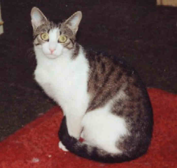 trixi.jpg (23170 Byte)