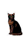 ameow.gif (4969 Byte)
