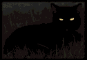 dunkel.gif (25241 Byte)