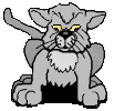 katze augen4.gif (5879 Byte)