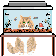 katze augen 3.gif (27114 Byte)