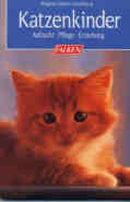 Katzenkinder 2.jpg (3120 Byte)
