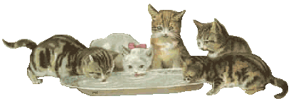 katze12.gif (24328 Byte)