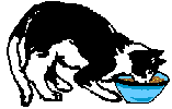 katze_017.gif (3669 Byte)