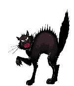 cat_20.gif (5667 Byte)