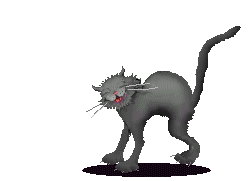 cat_21.gif (40926 Byte)