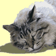 1012-011-07-1027_2.gif (5920 Byte)