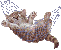 cat_10.gif (36086 Byte)