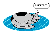 cat_56.gif (4295 Byte)