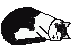 schlafend.gif (2102 Byte)
