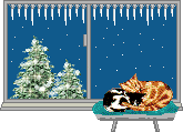 cat_127.gif (16773 Byte)