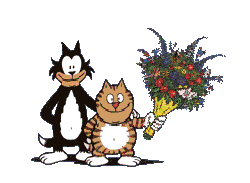 cat_91.gif (36848 Byte)