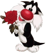 katze_043.gif (10733 Byte)