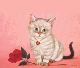 katze fetlich2.gif (148100 Byte)