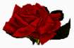 125544449.jpg (2029 Byte)
