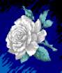 125593809.jpg (2704 Byte)