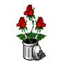 126696817.jpg (2005 Byte)