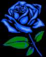 126874332.jpg (2763 Byte)