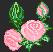 4 Rosen.jpg (1479 Byte)