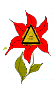 Pflanze.gif (10831 Byte)