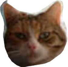 test.JPG (12786 Byte)