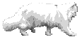 cat_51.gif (10390 Byte)