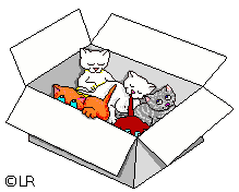 catmix67.gif (18440 Byte)