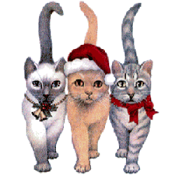 katze laufen 2.gif (50331 Byte)