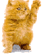 winken.gif (6903 Byte)