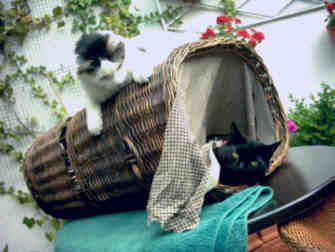 Anton_Minou.jpg (10861 Byte)