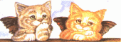 cat_135.gif (34483 Byte)