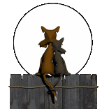 cat_16.gif (49138 Byte)