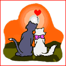 cat_17.gif (23852 Byte)