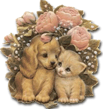 katze37.gif (31073 Byte)