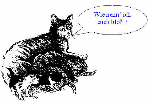 Katzenmutter.jpg (29989 Byte)
