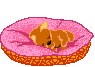 katze_mini.gif (11554 Byte)