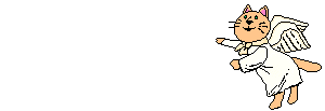Katzenengel.gif (8006 Byte)