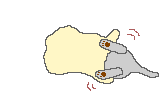 cat_100.gif (11334 Byte)