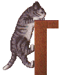 cat_104.gif (9745 Byte)