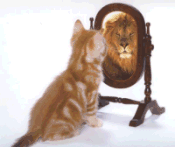 cat_132.gif (29885 Byte)