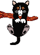 cat_71.gif (4684 Byte)