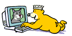 computerbaer.gif (21375 Byte)