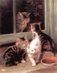 katze40.gif (58209 Byte)