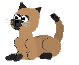cat_43.gif (40128 Byte)