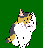 cat_77.gif (6764 Byte)